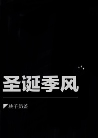 圣诞季限定炸鸡套餐